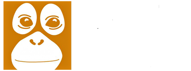 Bukit Lawang Ecotourism