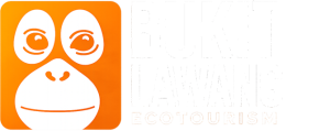 Bukit Lawang Ecotourism